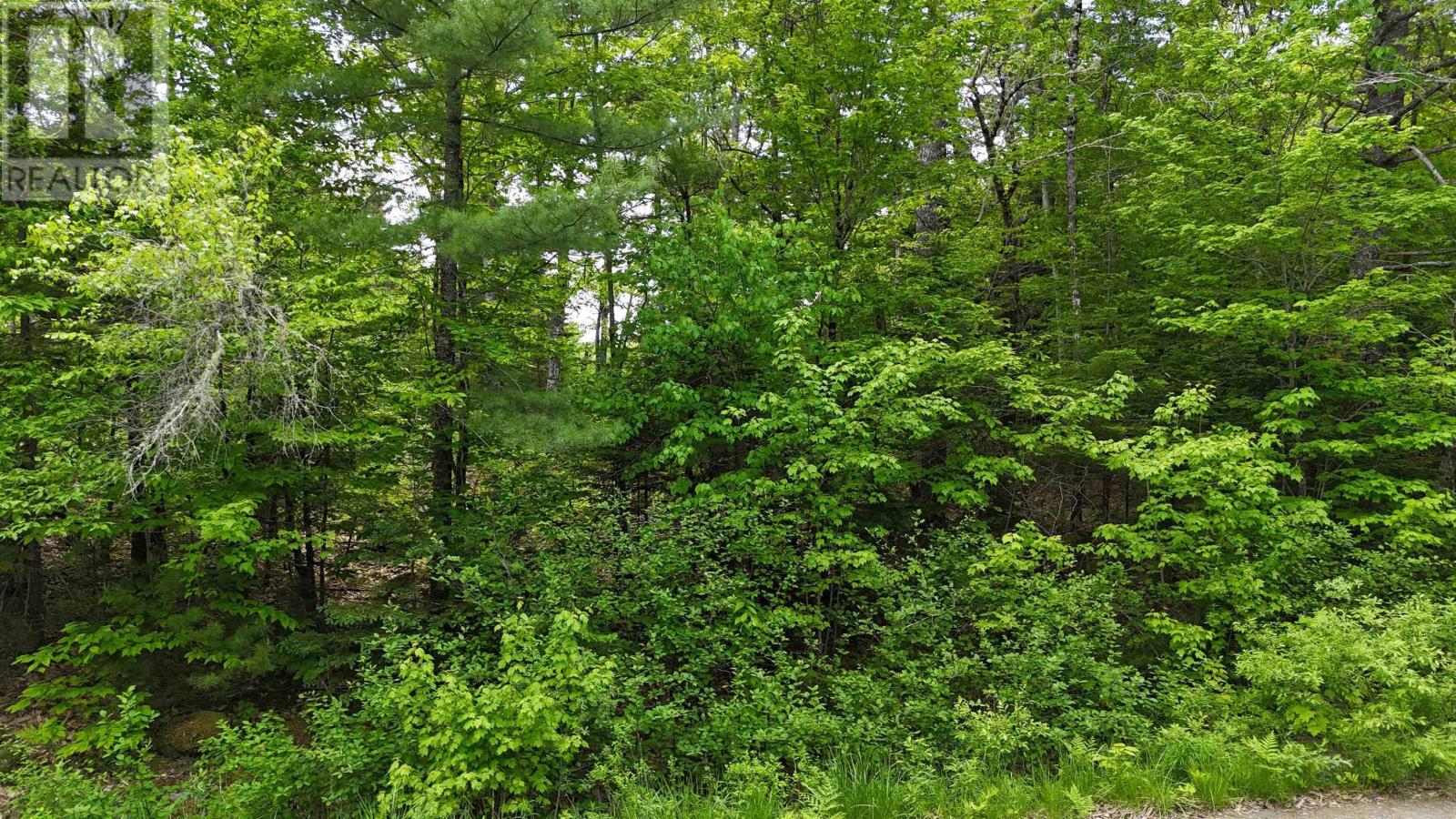 Lot 24-1 East Clifford Road, East Clifford, Nova Scotia  B4V 7R8 - Photo 24 - 202513794