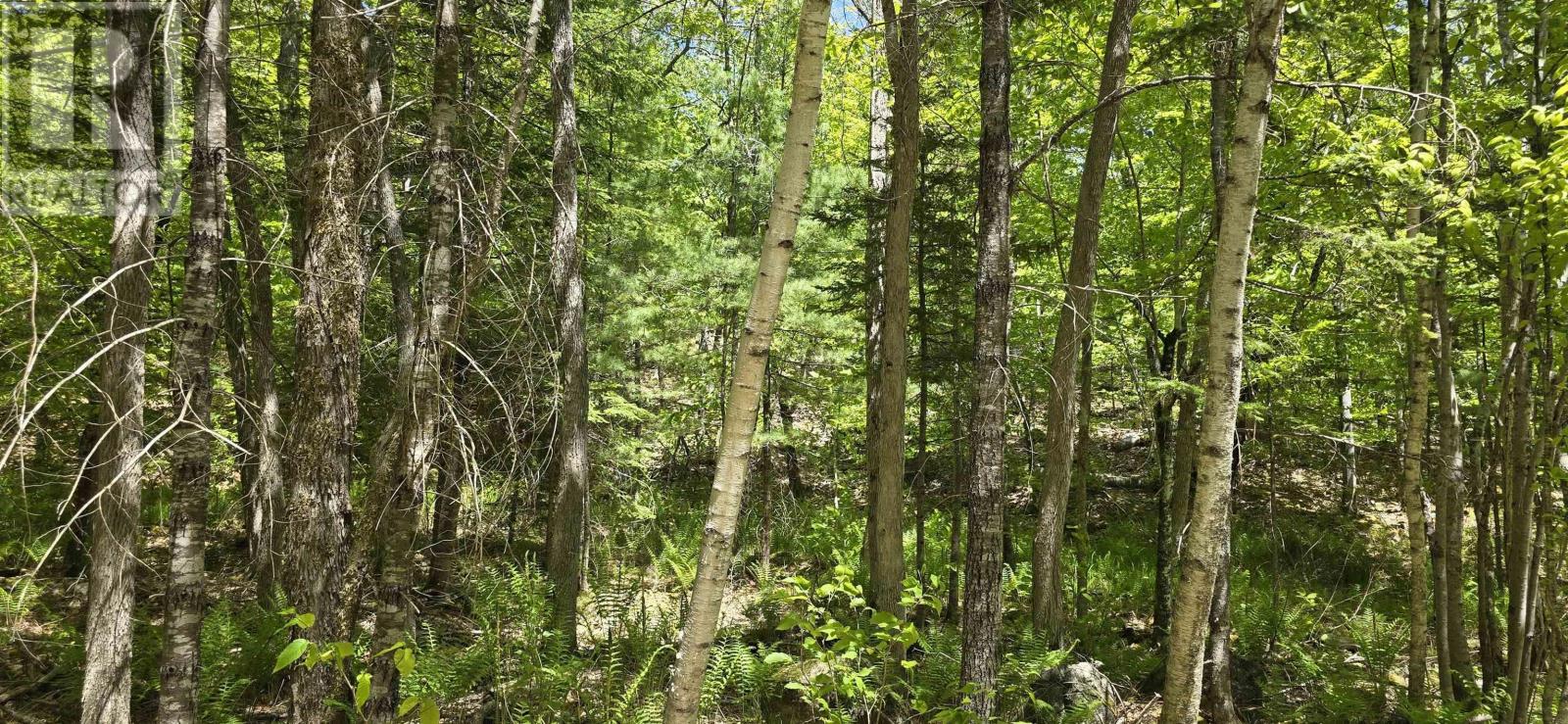 Lot 24-1 East Clifford Road, East Clifford, Nova Scotia  B4V 7R8 - Photo 4 - 202513794