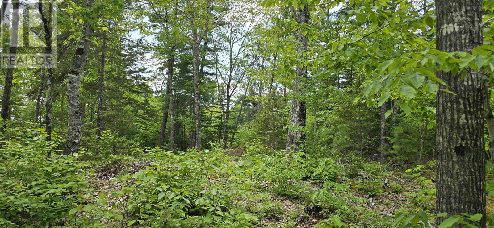 Lot 24-1 East Clifford Road, East Clifford, Nova Scotia  B4V 7R8 - Photo 8 - 202513794