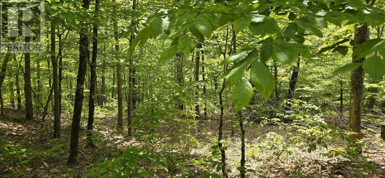 Lot 24-2 East Clifford Road, East Clifford, Nova Scotia  B4V 7R8 - Photo 5 - 202513797