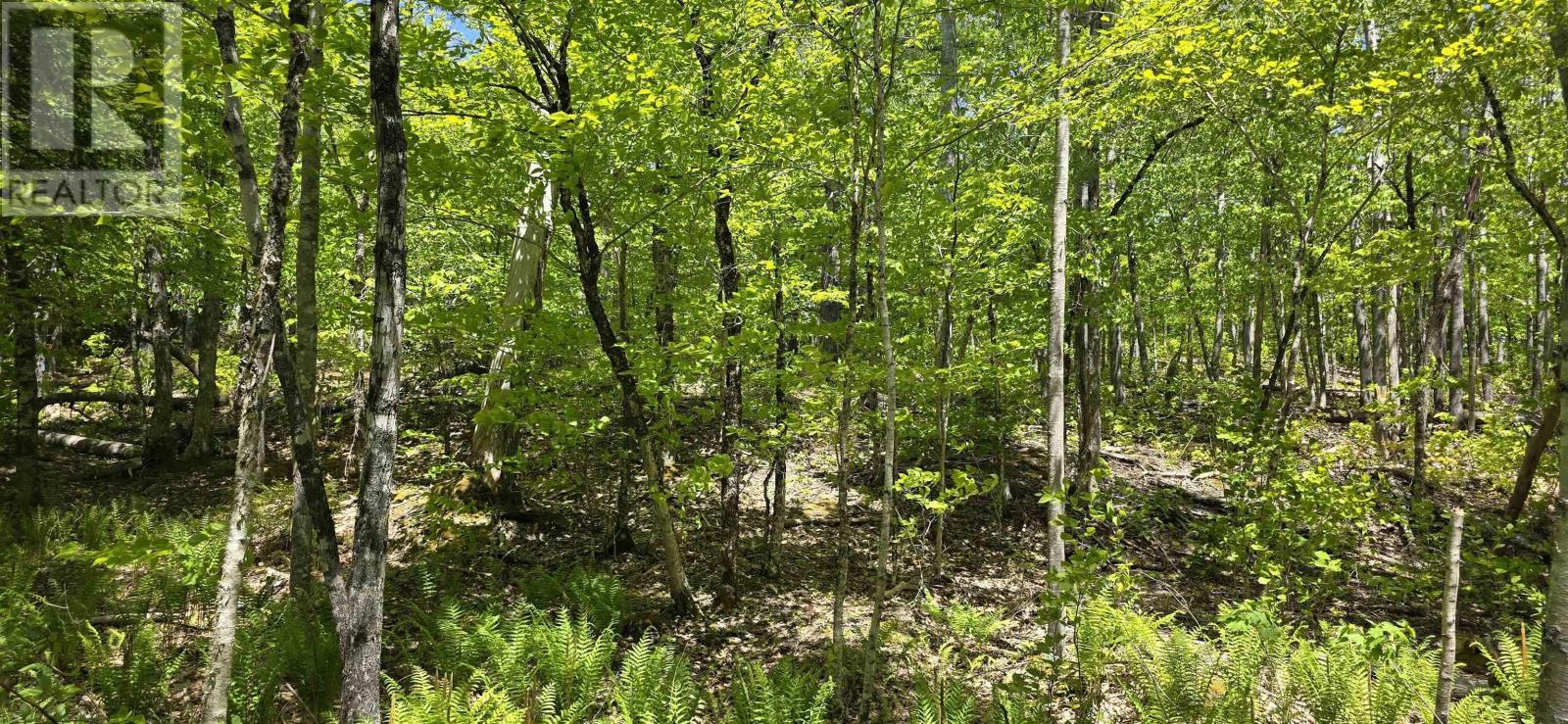 Lot 24-2 East Clifford Road, East Clifford, Nova Scotia  B4V 7R8 - Photo 20 - 202513797