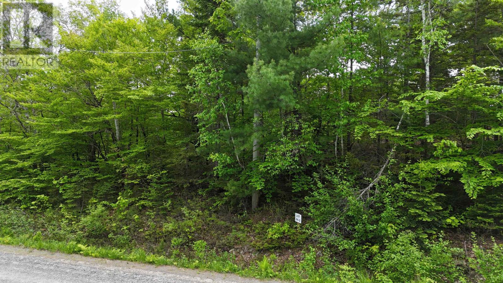 Lot 24-2 East Clifford Road, East Clifford, Nova Scotia  B4V 7R8 - Photo 27 - 202513797
