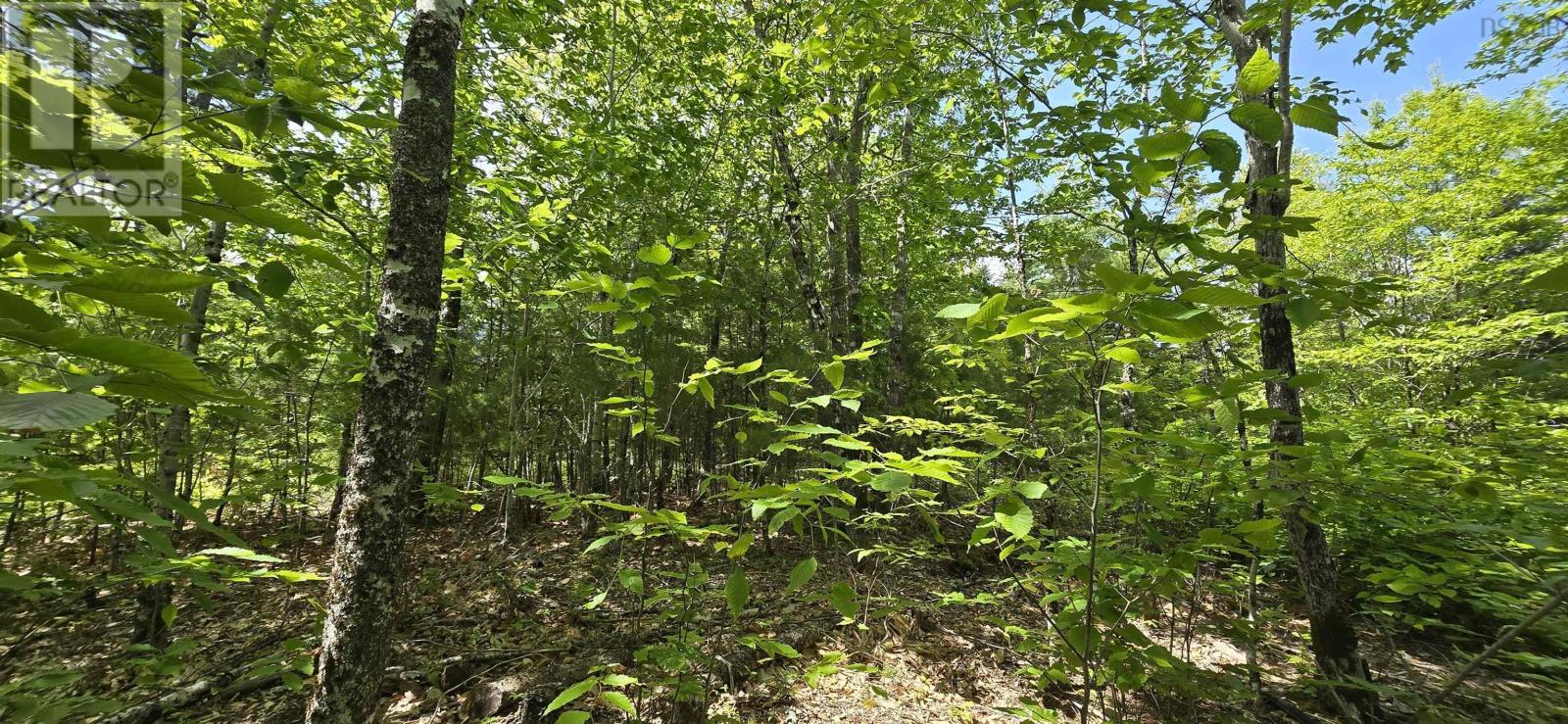 Lot 24-2 East Clifford Road, East Clifford, Nova Scotia  B4V 7R8 - Photo 11 - 202513797