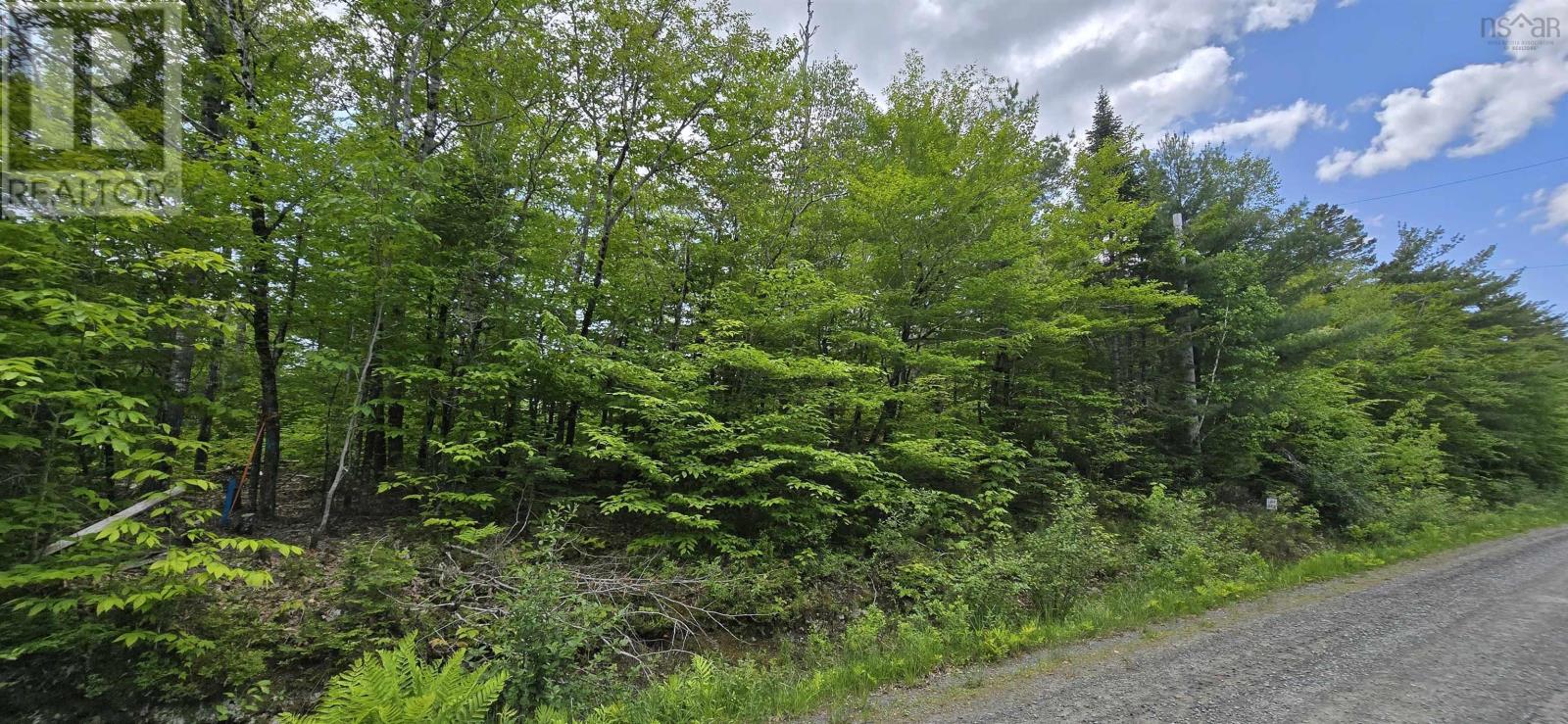 Lot 24-2 East Clifford Road, East Clifford, Nova Scotia  B4V 7R8 - Photo 18 - 202513797