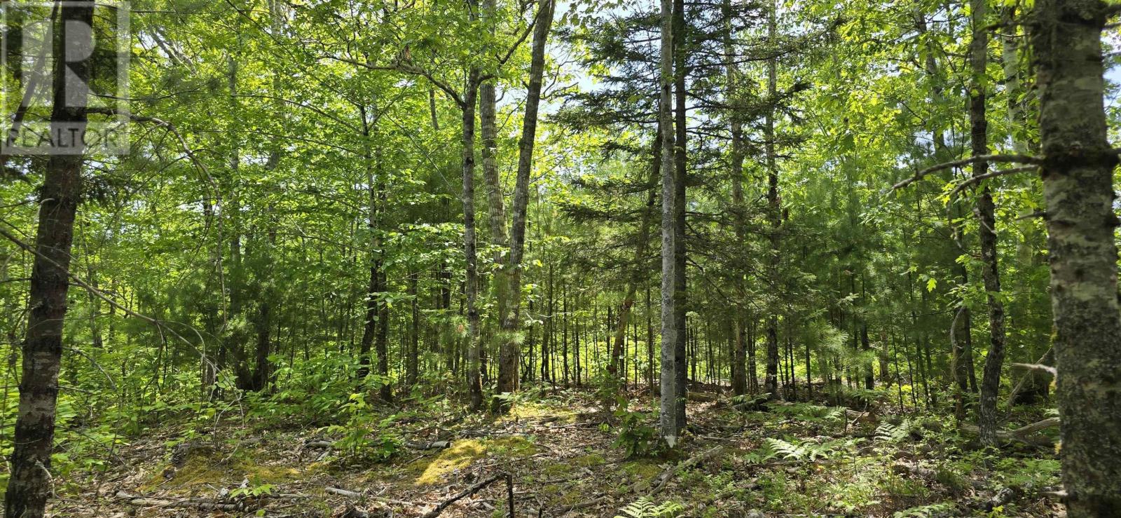 Lot 24-2 East Clifford Road, East Clifford, Nova Scotia  B4V 7R8 - Photo 17 - 202513797