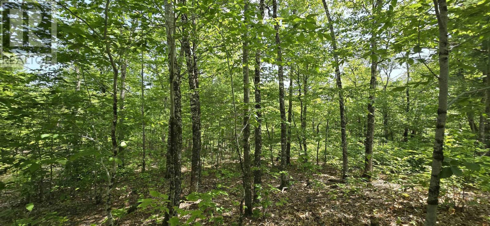 Lot 24-2 East Clifford Road, East Clifford, Nova Scotia  B4V 7R8 - Photo 13 - 202513797