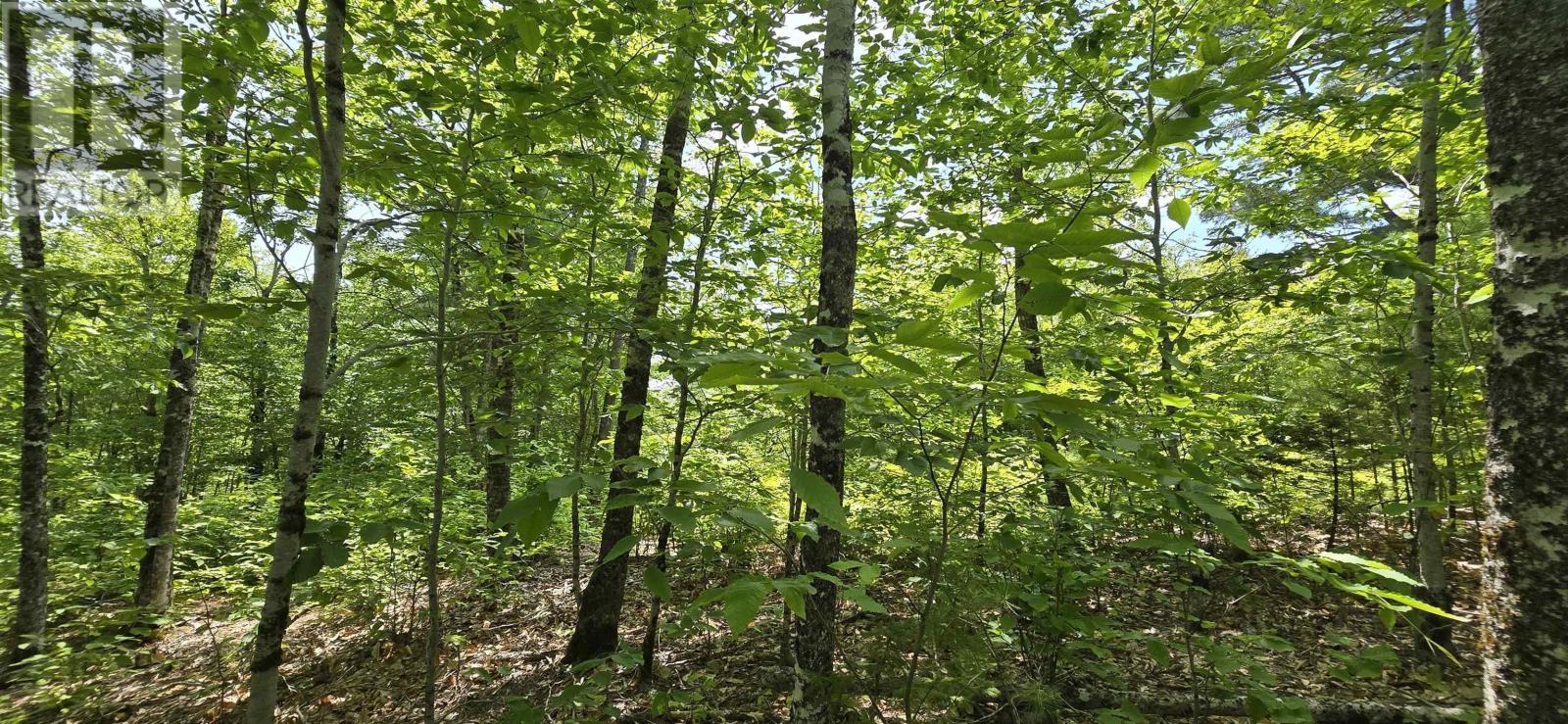 Lot 24-2 East Clifford Road, East Clifford, Nova Scotia  B4V 7R8 - Photo 12 - 202513797