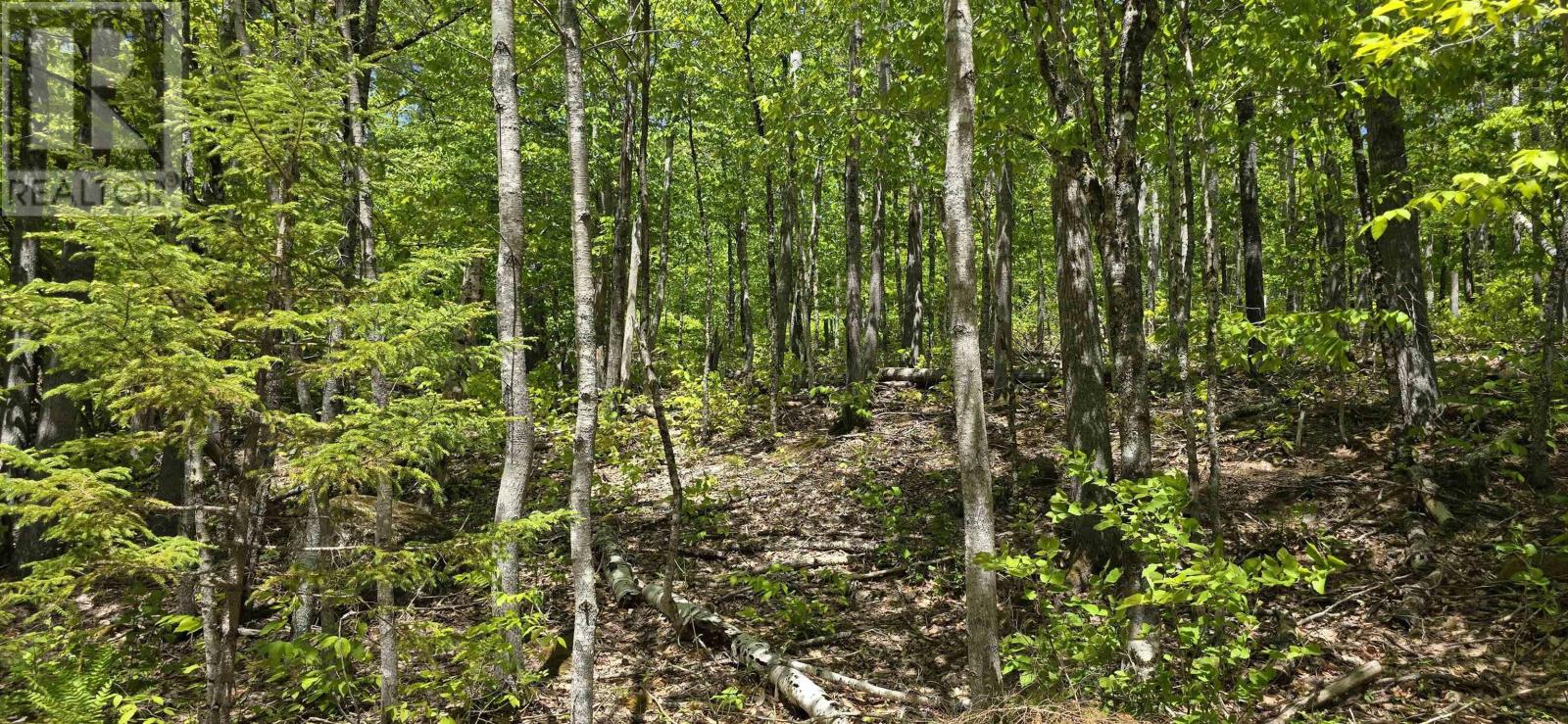 Lot 24-2 East Clifford Road, East Clifford, Nova Scotia  B4V 7R8 - Photo 24 - 202513797