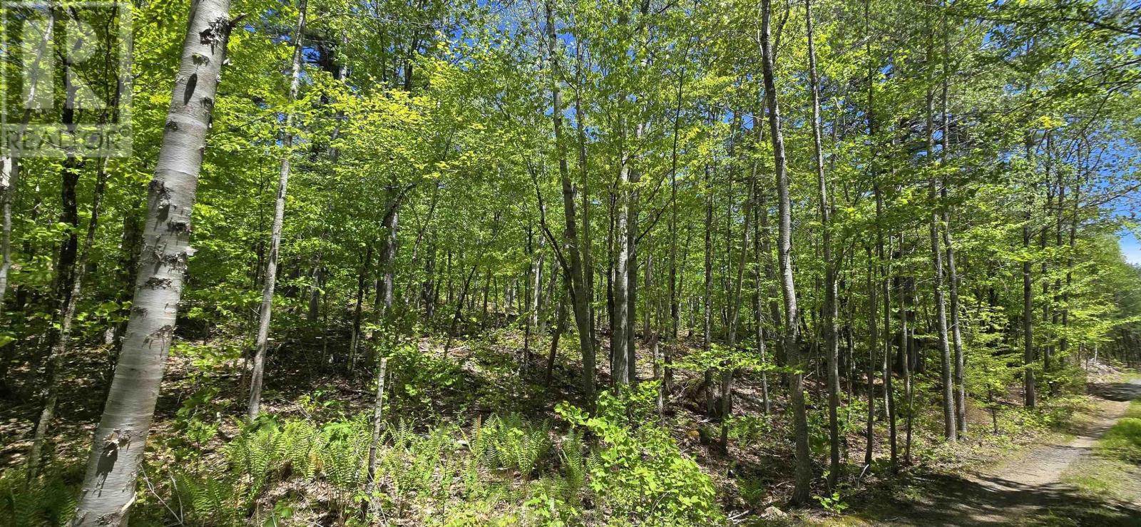 Lot 24-2 East Clifford Road, East Clifford, Nova Scotia  B4V 7R8 - Photo 21 - 202513797