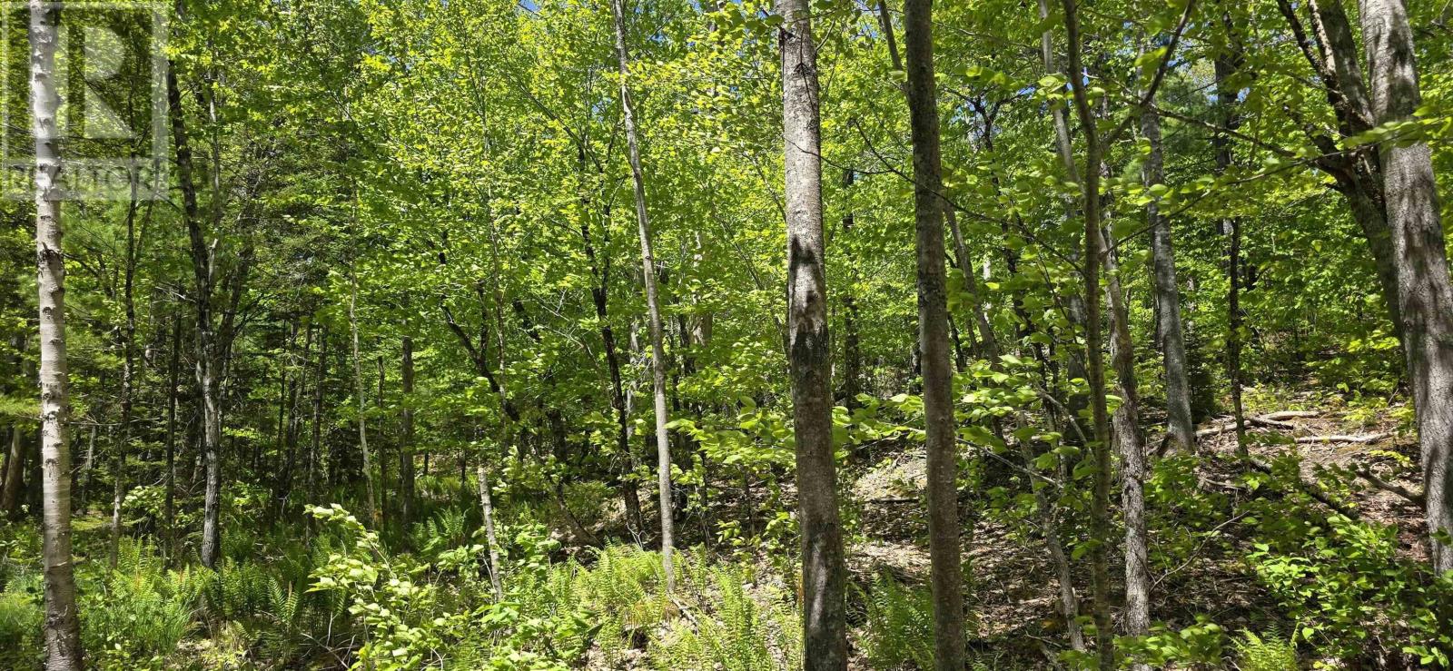 Lot 24-2 East Clifford Road, East Clifford, Nova Scotia  B4V 7R8 - Photo 23 - 202513797