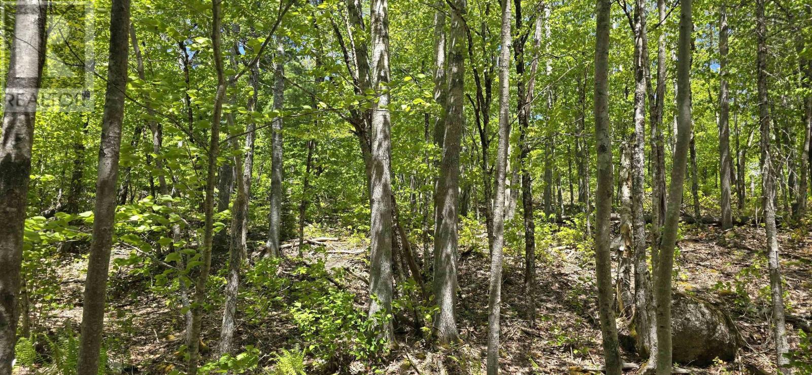 Lot 24-2 East Clifford Road, East Clifford, Nova Scotia  B4V 7R8 - Photo 22 - 202513797