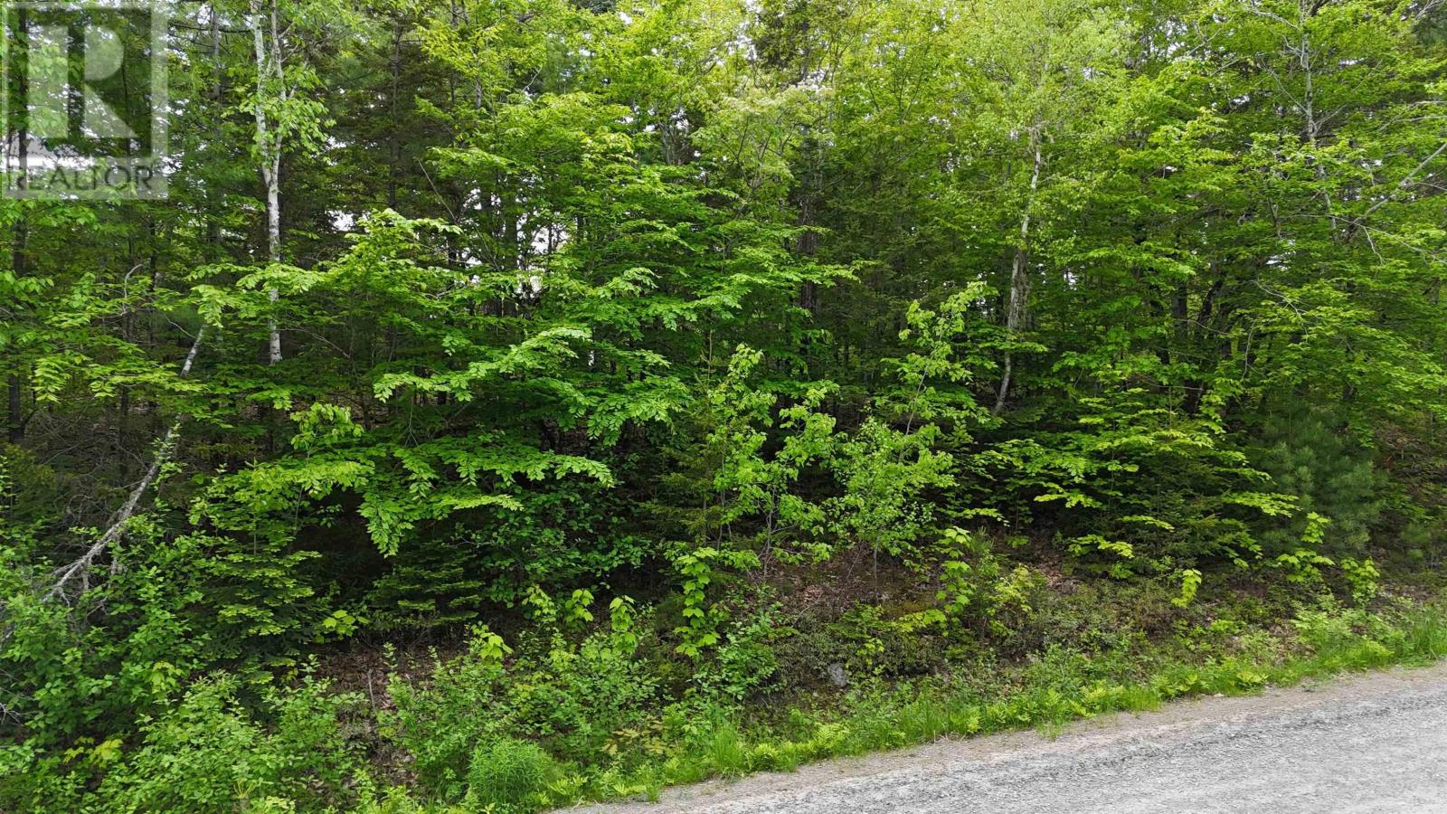 Lot 24-2 East Clifford Road, East Clifford, Nova Scotia  B4V 7R8 - Photo 26 - 202513797