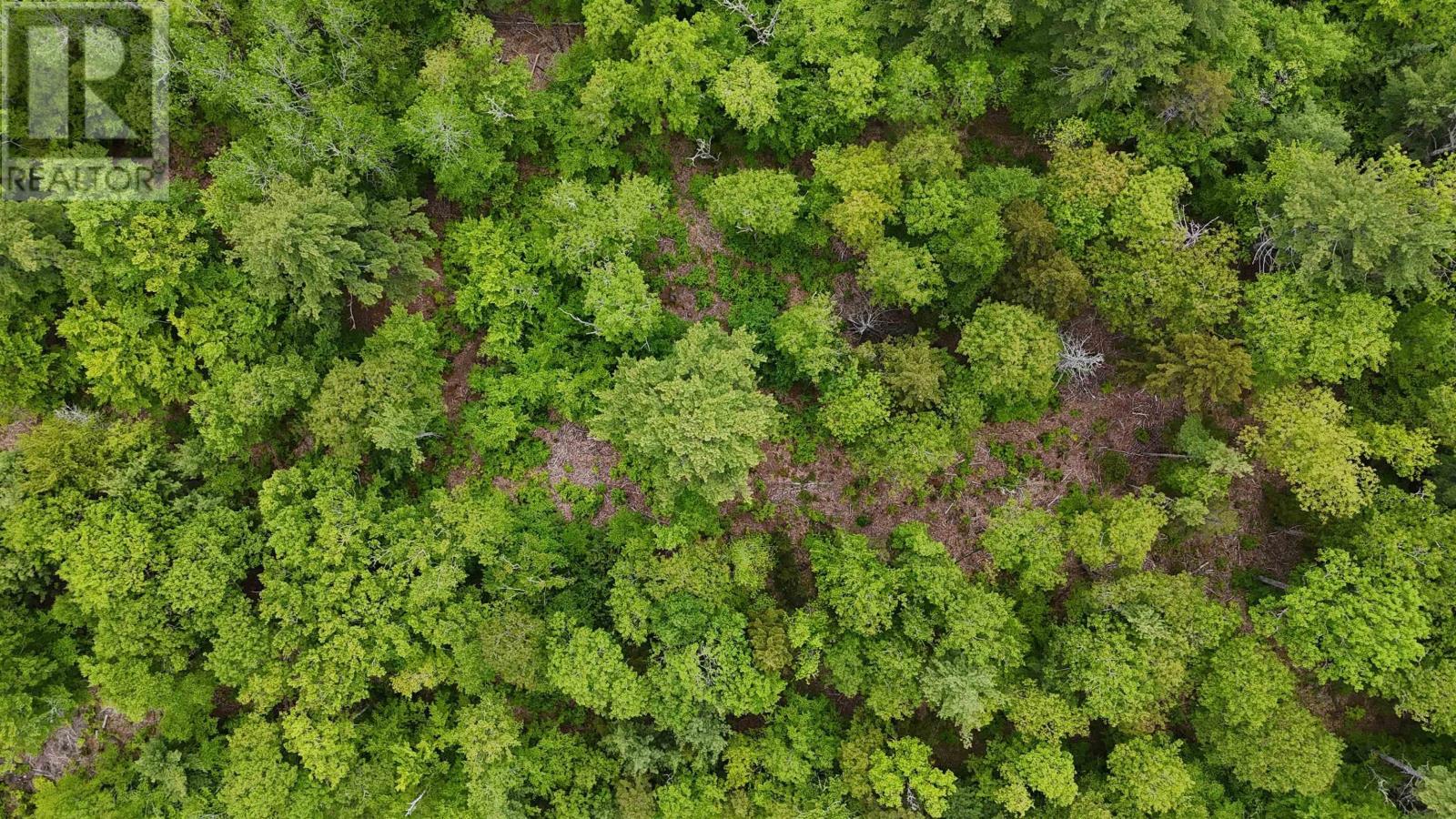 Lot 24-2 East Clifford Road, East Clifford, Nova Scotia  B4V 7R8 - Photo 28 - 202513797