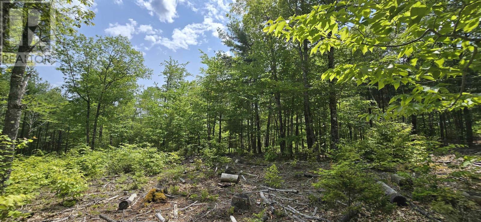 Lot 24-3 East Clifford Road, East Clifford, Nova Scotia  B4V 7R8 - Photo 10 - 202513798