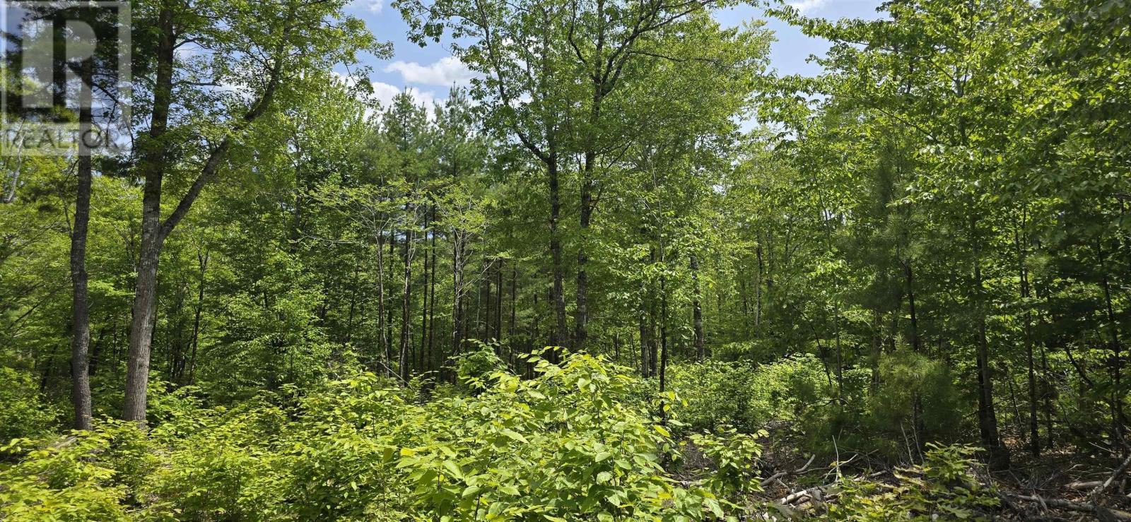 Lot 24-3 East Clifford Road, East Clifford, Nova Scotia  B4V 7R8 - Photo 12 - 202513798