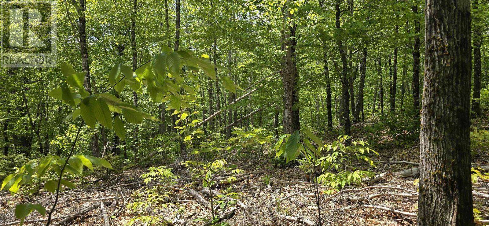 Lot 24-3 East Clifford Road, East Clifford, Nova Scotia  B4V 7R8 - Photo 19 - 202513798