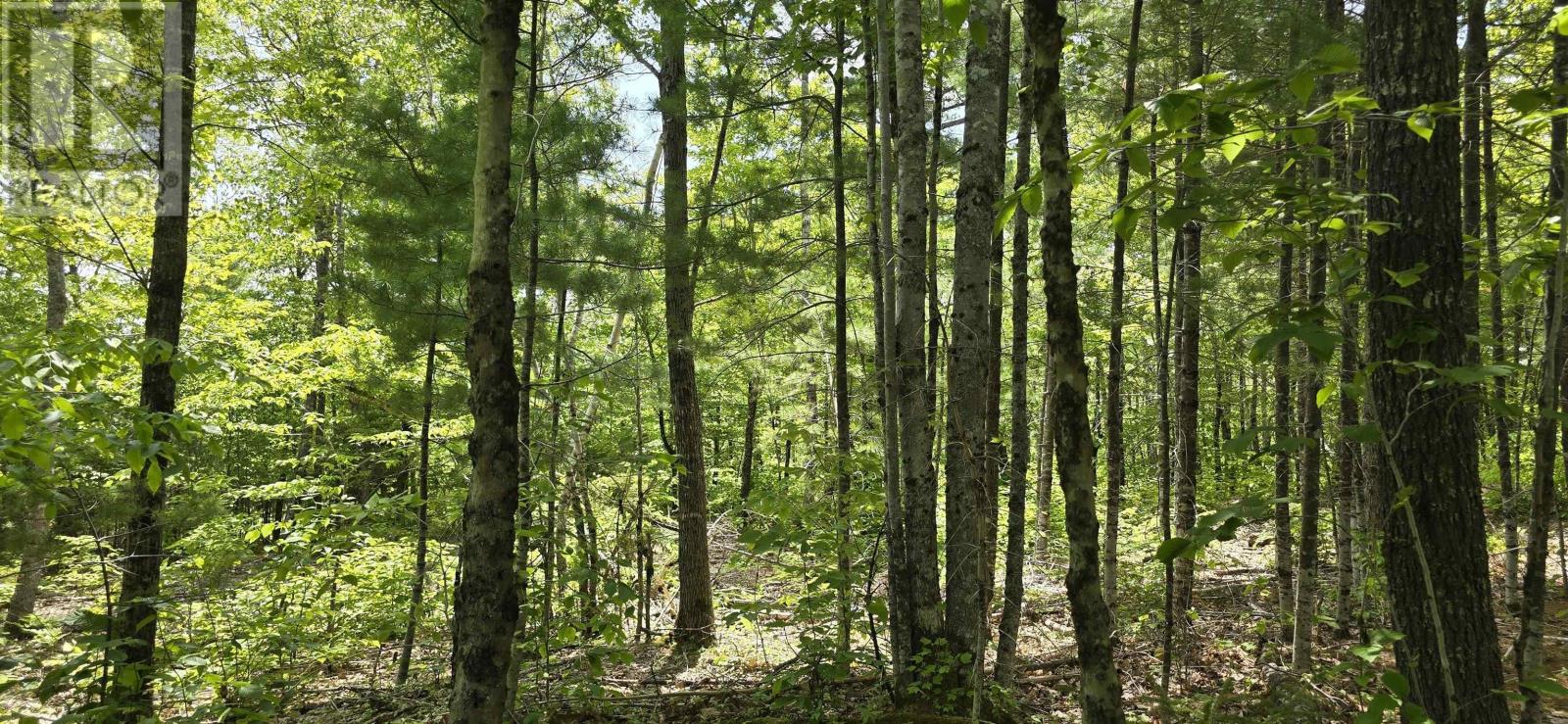 Lot 24-3 East Clifford Road, East Clifford, Nova Scotia  B4V 7R8 - Photo 14 - 202513798