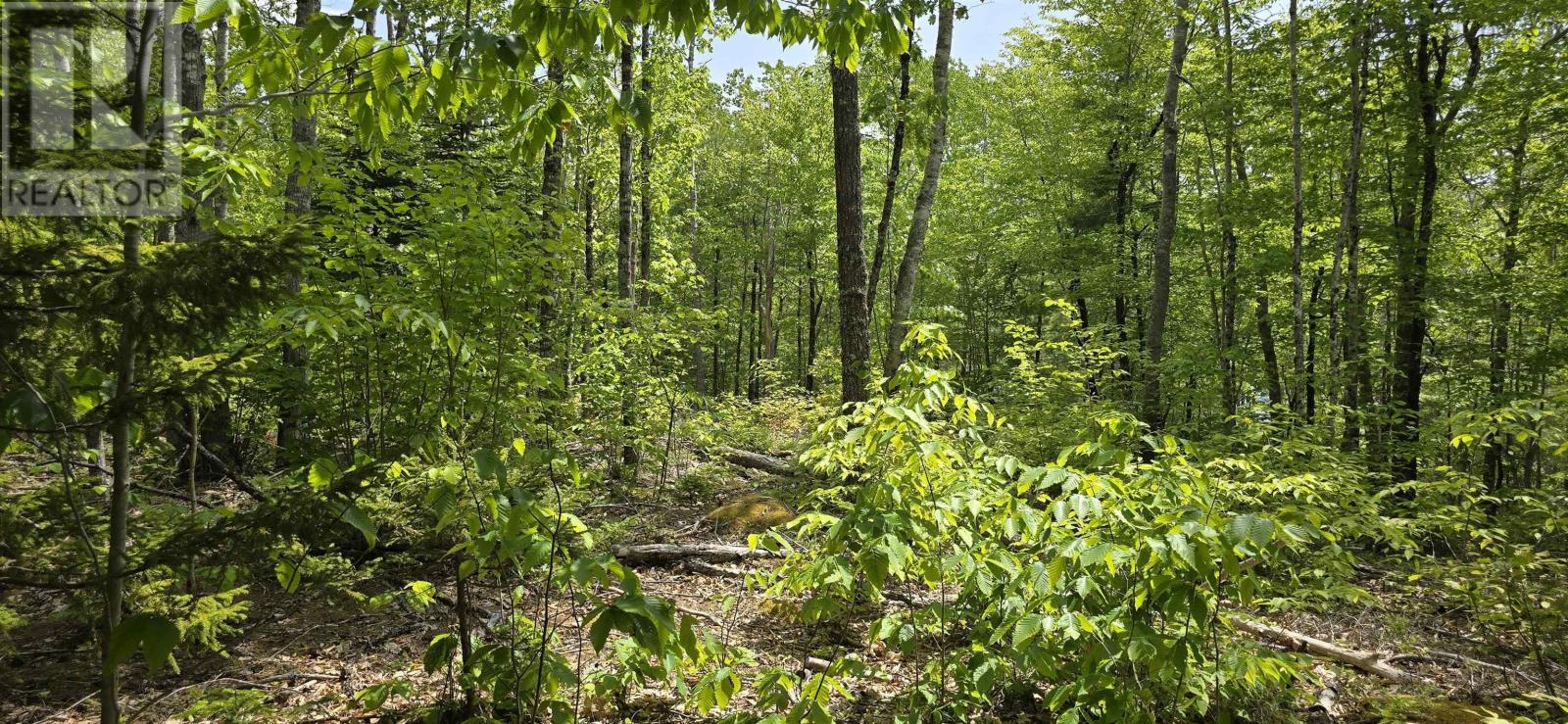 Lot 24-3 East Clifford Road, East Clifford, Nova Scotia  B4V 7R8 - Photo 20 - 202513798