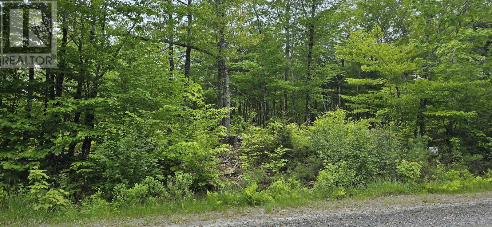 Lot 24-3 East Clifford Road, East Clifford, Nova Scotia  B4V 7R8 - Photo 23 - 202513798