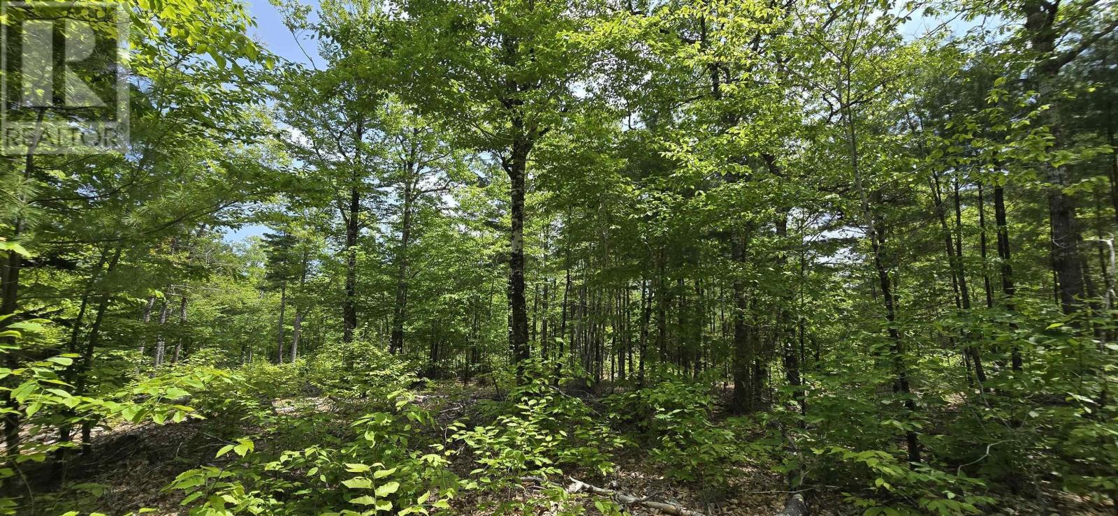 Lot 24-3 East Clifford Road, East Clifford, Nova Scotia  B4V 7R8 - Photo 6 - 202513798