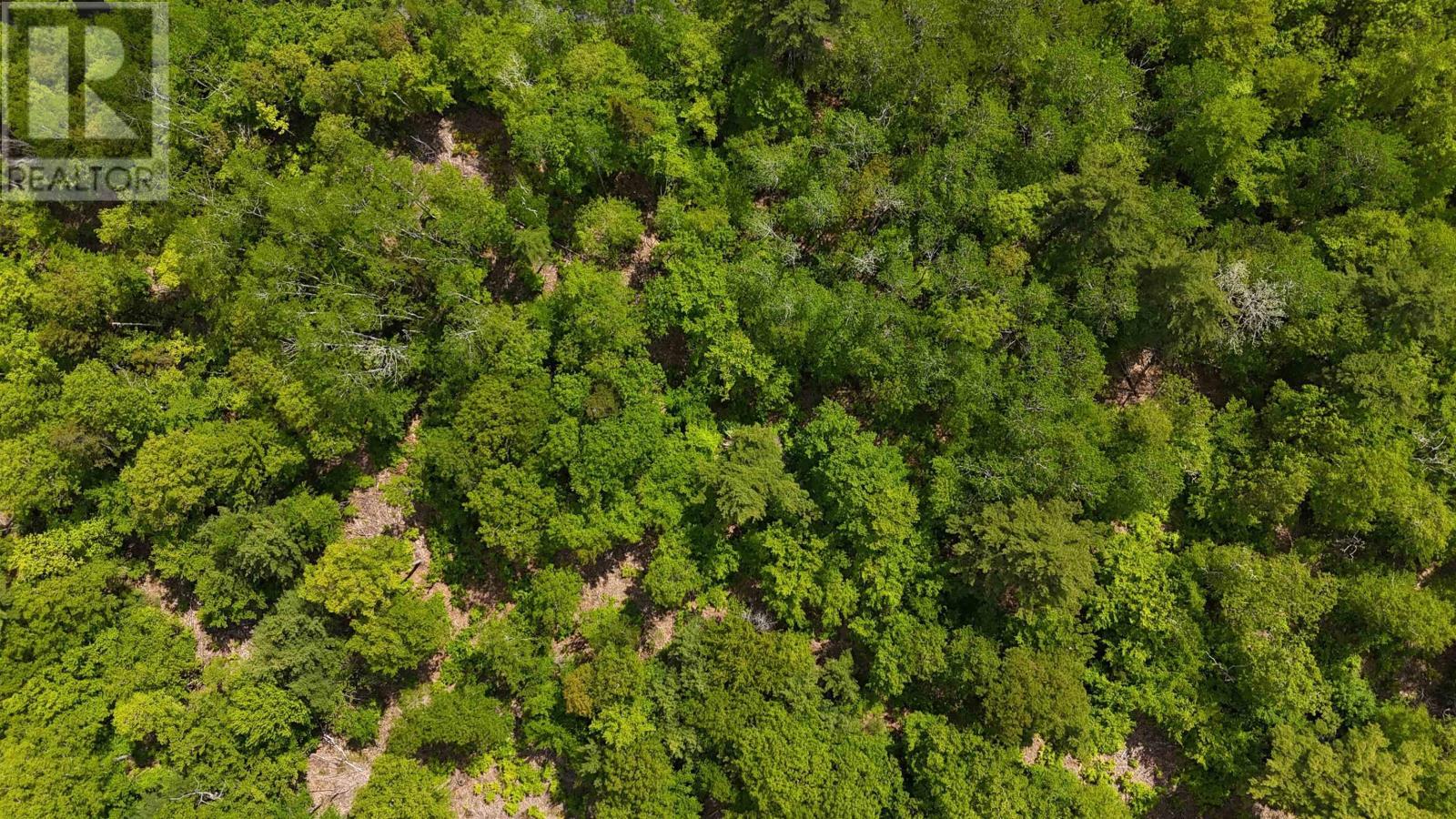 Lot 24-3 East Clifford Road, East Clifford, Nova Scotia  B4V 7R8 - Photo 36 - 202513798