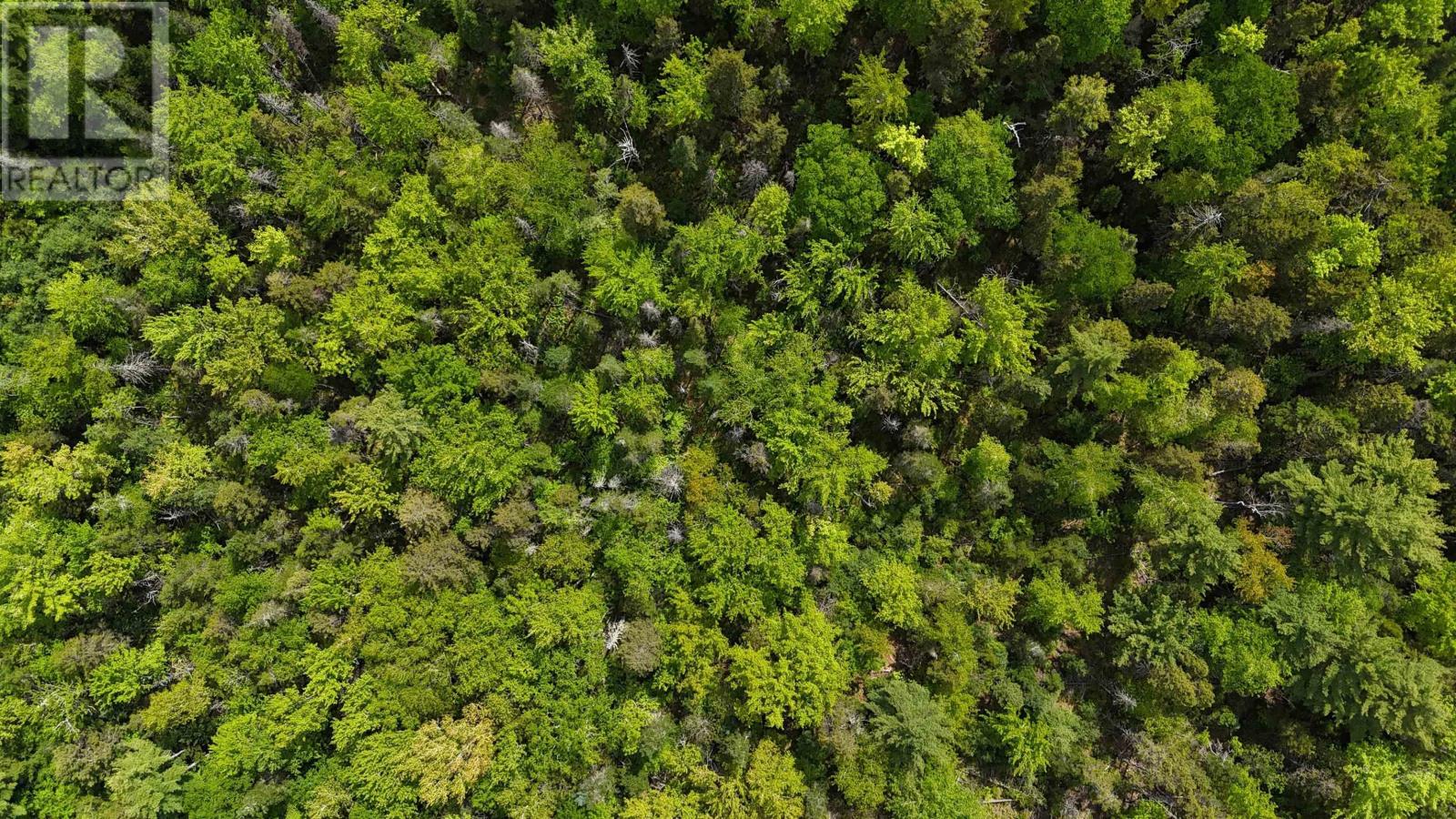 Lot 24-3 East Clifford Road, East Clifford, Nova Scotia  B4V 7R8 - Photo 35 - 202513798