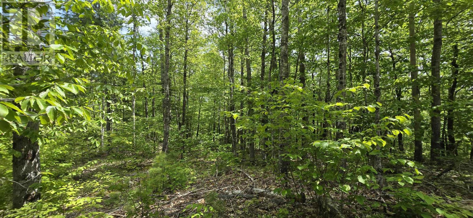 Lot 24-4 East Clifford Road, East Clifford, Nova Scotia  B4V 7R8 - Photo 10 - 202513799