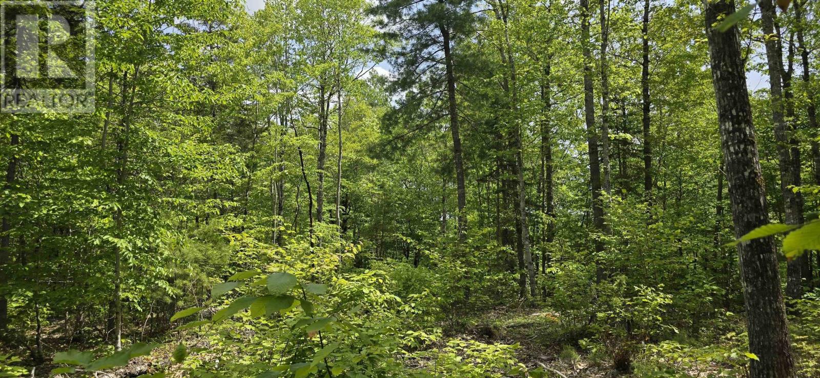 Lot 24-4 East Clifford Road, East Clifford, Nova Scotia  B4V 7R8 - Photo 12 - 202513799