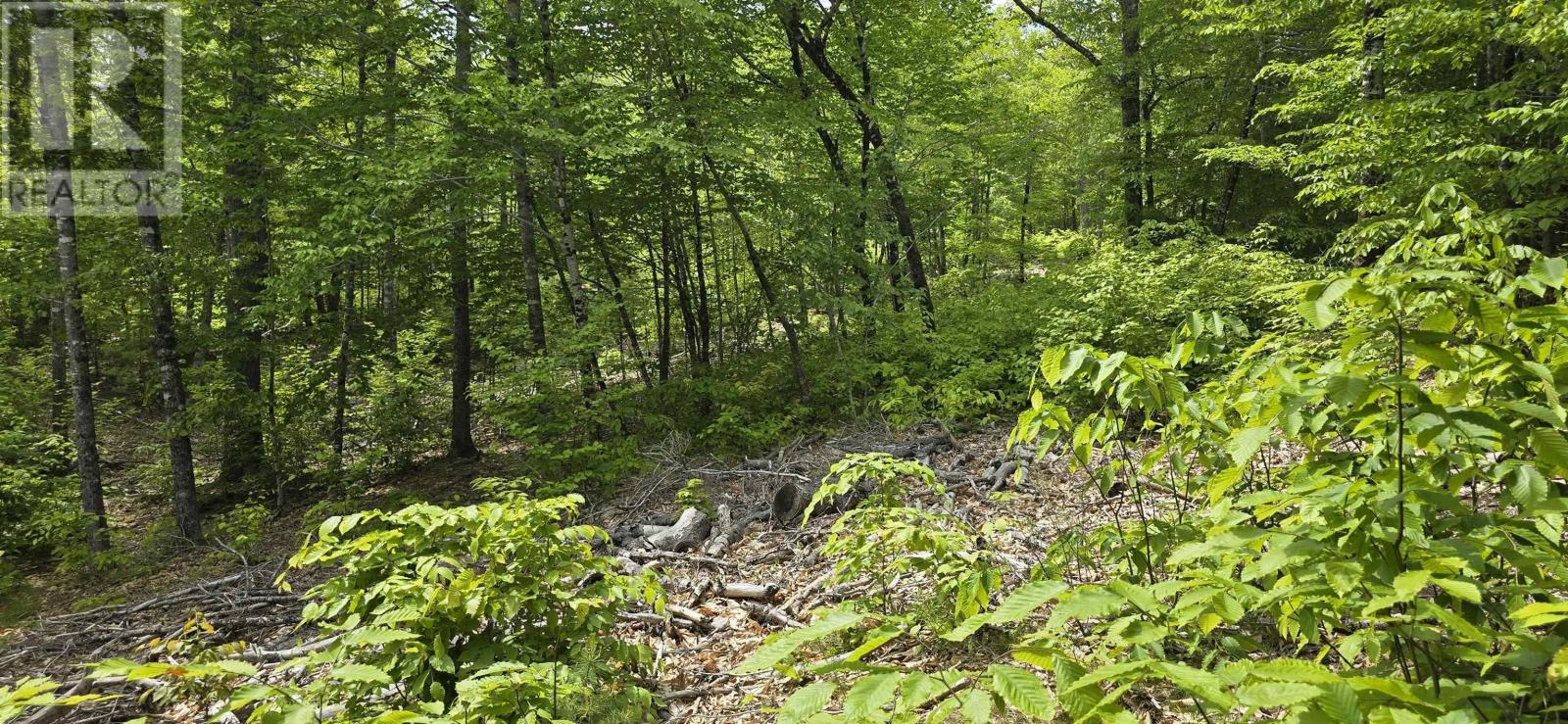 Lot 24-4 East Clifford Road, East Clifford, Nova Scotia  B4V 7R8 - Photo 19 - 202513799