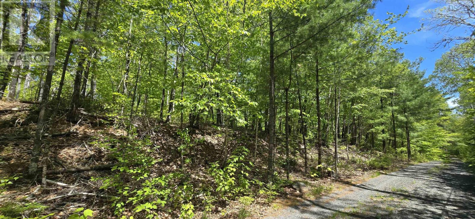 Lot 24-4 East Clifford Road, East Clifford, Nova Scotia  B4V 7R8 - Photo 24 - 202513799