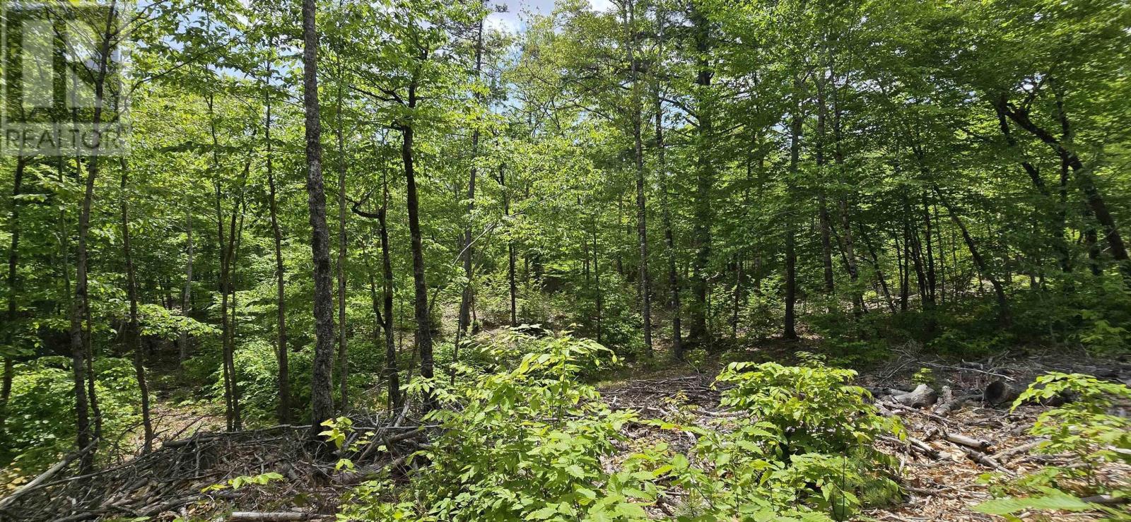 Lot 24-4 East Clifford Road, East Clifford, Nova Scotia  B4V 7R8 - Photo 21 - 202513799