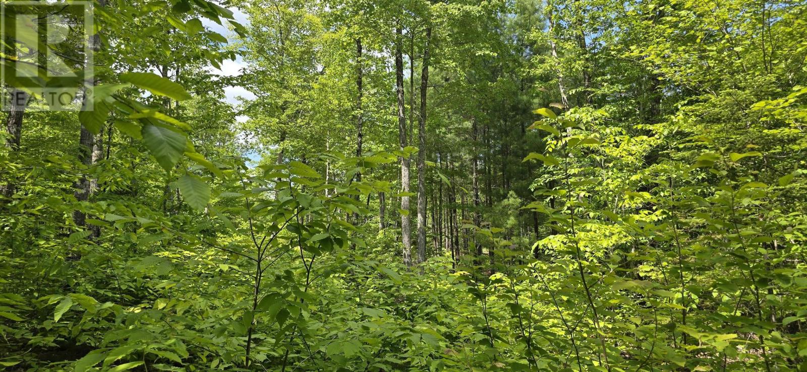 Lot 24-4 East Clifford Road, East Clifford, Nova Scotia  B4V 7R8 - Photo 13 - 202513799