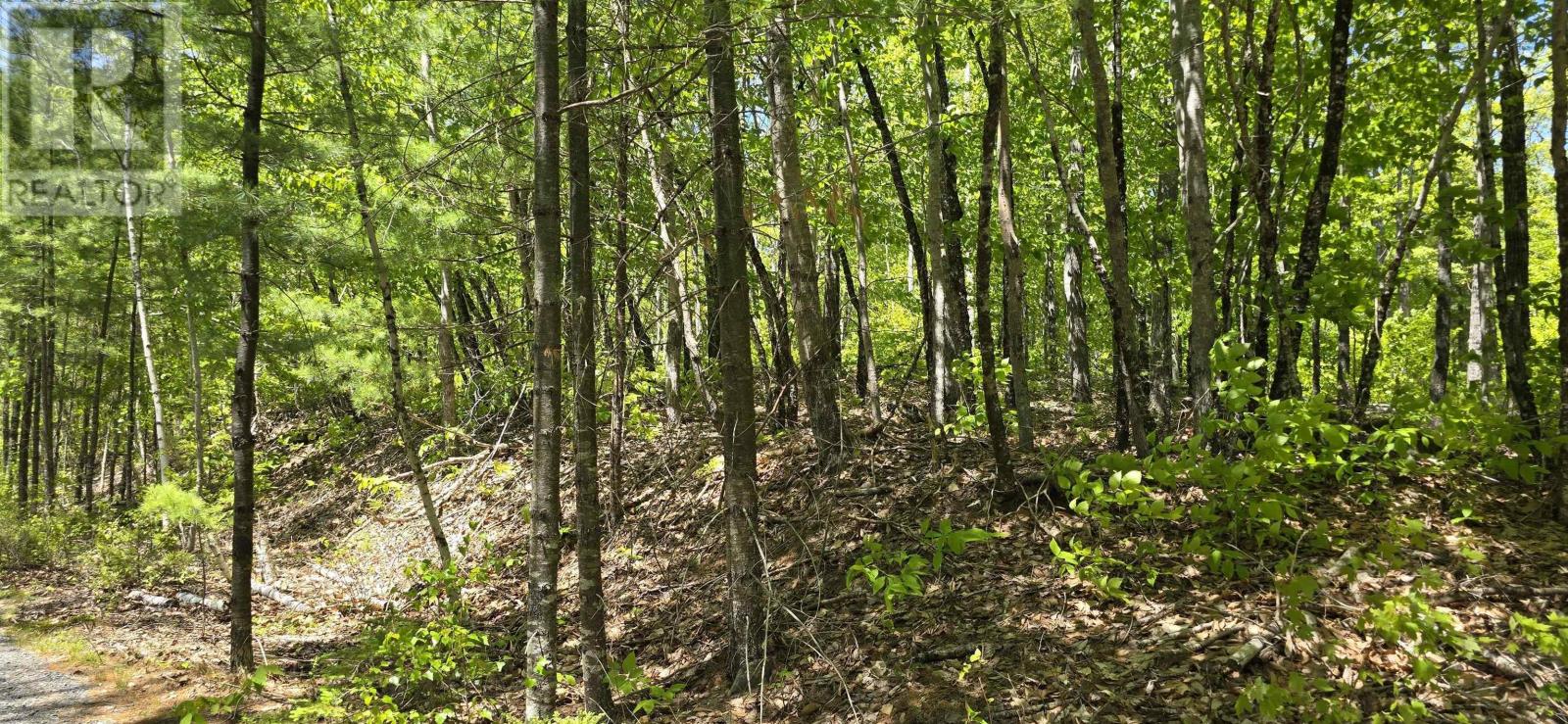 Lot 24-4 East Clifford Road, East Clifford, Nova Scotia  B4V 7R8 - Photo 26 - 202513799