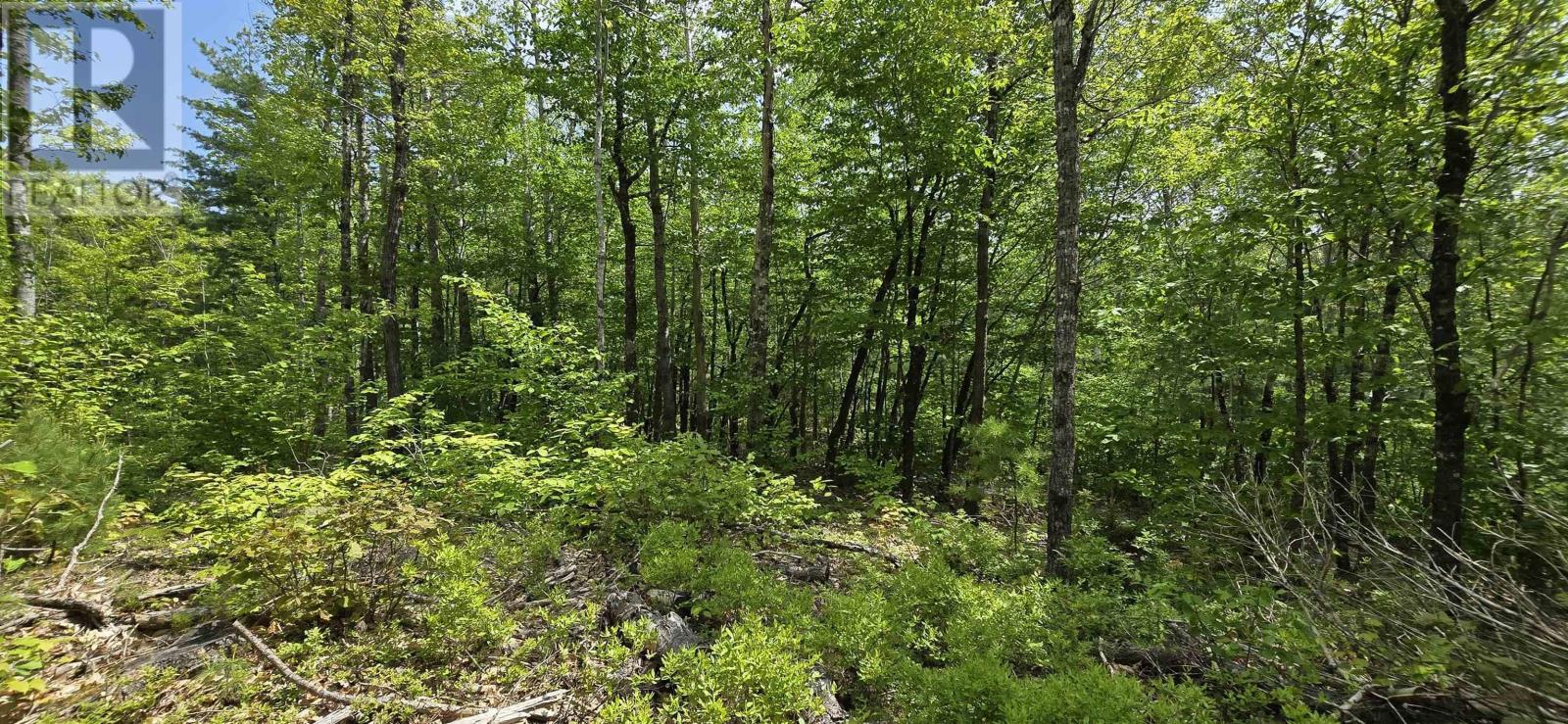 Lot 24-4 East Clifford Road, East Clifford, Nova Scotia  B4V 7R8 - Photo 5 - 202513799