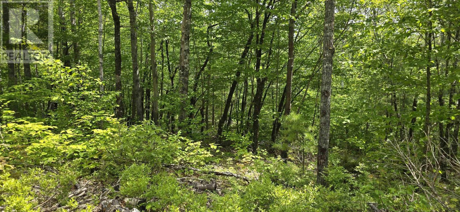 Lot 24-4 East Clifford Road, East Clifford, Nova Scotia  B4V 7R8 - Photo 4 - 202513799