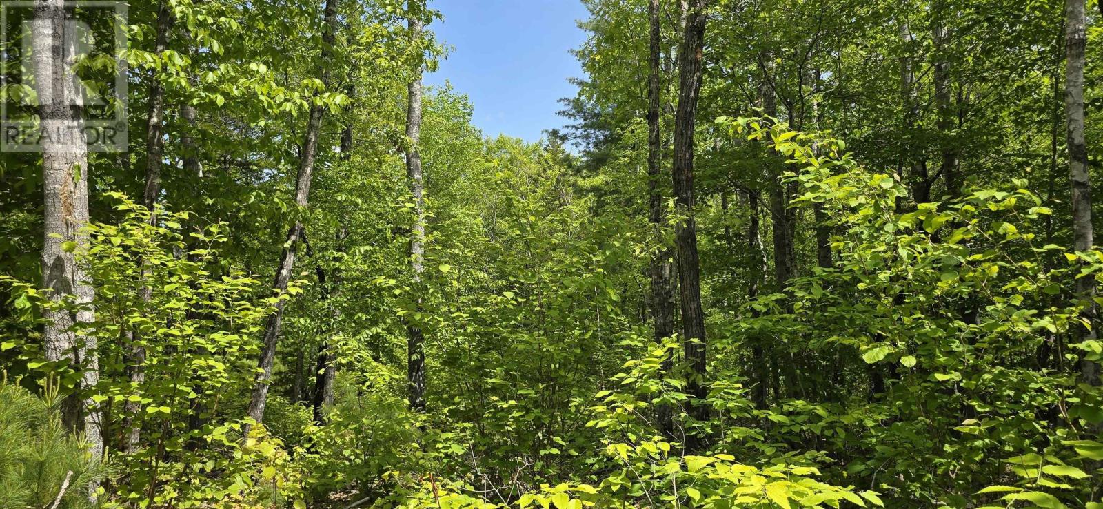 Lot 24-4 East Clifford Road, East Clifford, Nova Scotia  B4V 7R8 - Photo 6 - 202513799