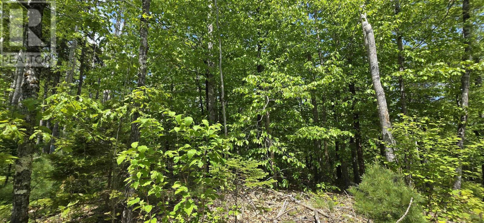 Lot 24-4 East Clifford Road, East Clifford, Nova Scotia  B4V 7R8 - Photo 7 - 202513799