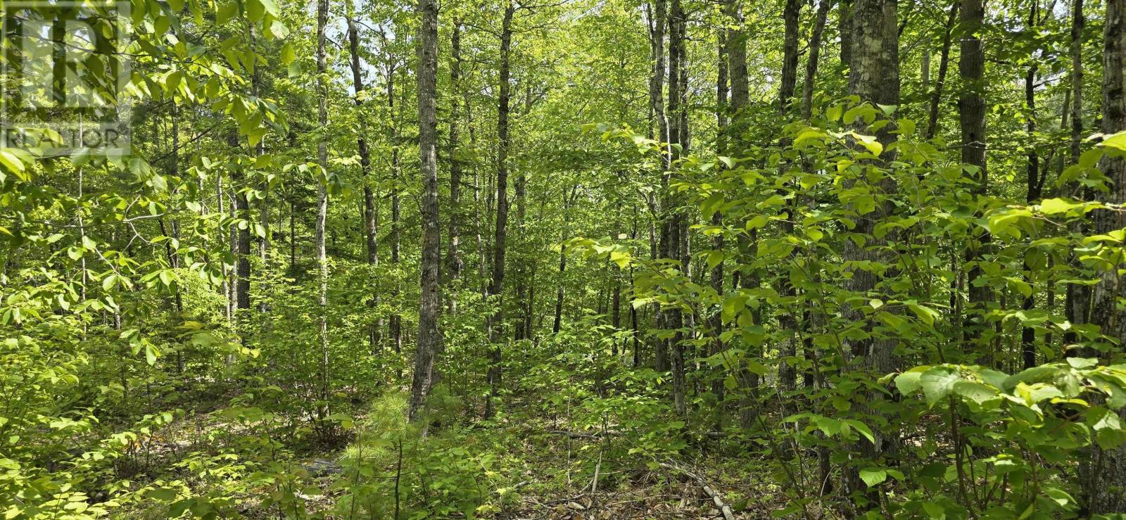 Lot 24-4 East Clifford Road, East Clifford, Nova Scotia  B4V 7R8 - Photo 8 - 202513799