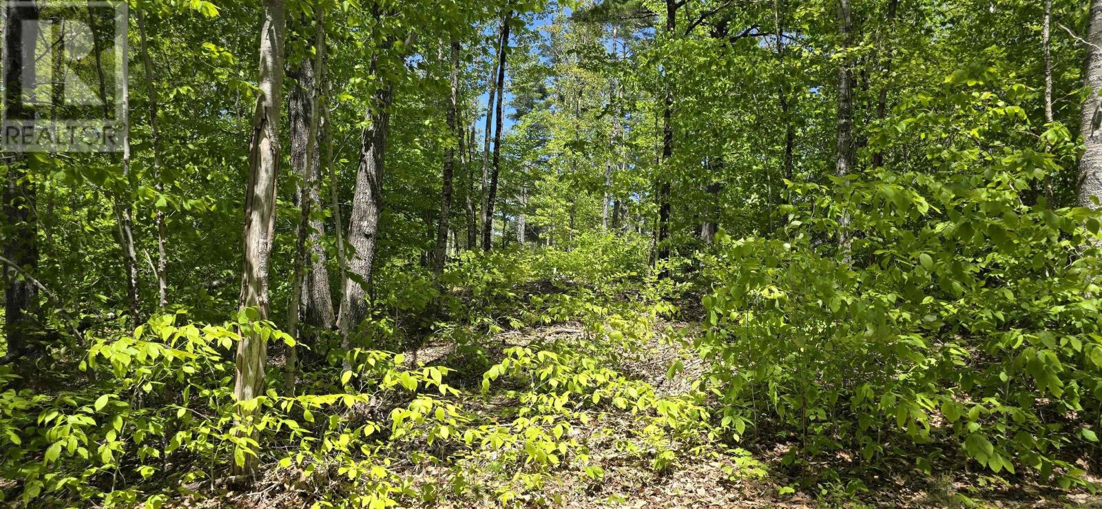 Lot 24-6 East Clifford Road, East Clifford, Nova Scotia  B4V 7R8 - Photo 19 - 202513801