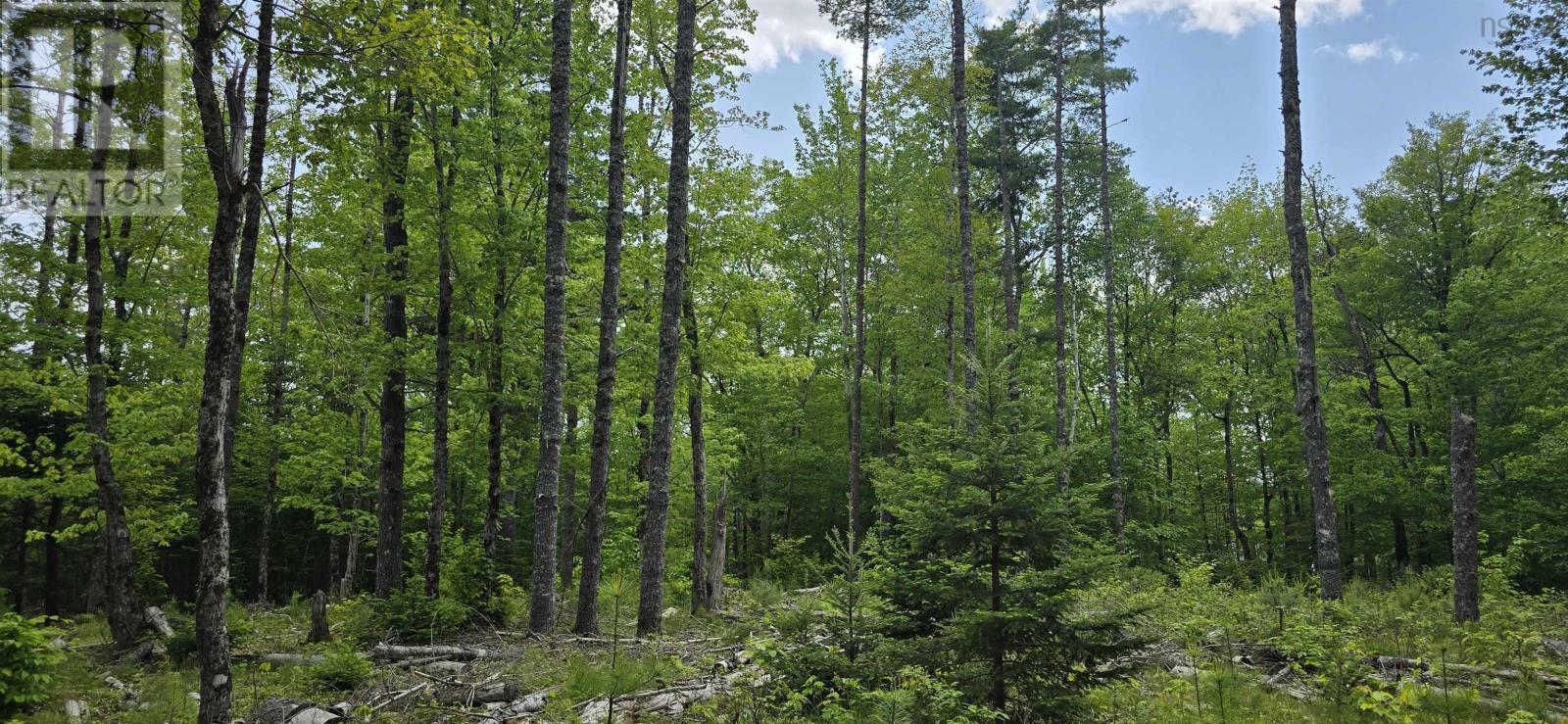 Lot 24-6 East Clifford Road, East Clifford, Nova Scotia  B4V 7R8 - Photo 4 - 202513801