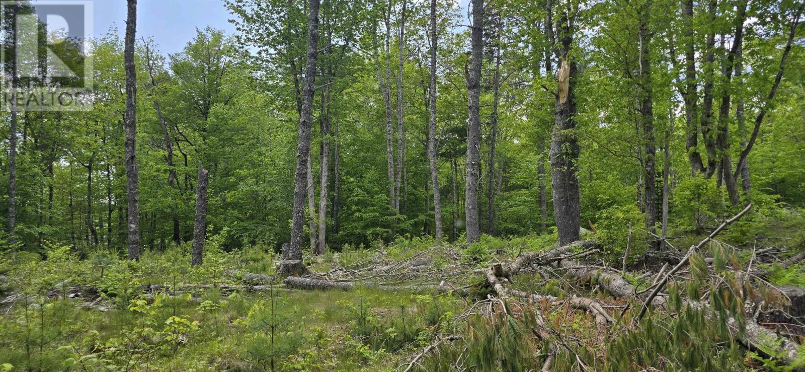 Lot 24-6 East Clifford Road, East Clifford, Nova Scotia  B4V 7R8 - Photo 3 - 202513801