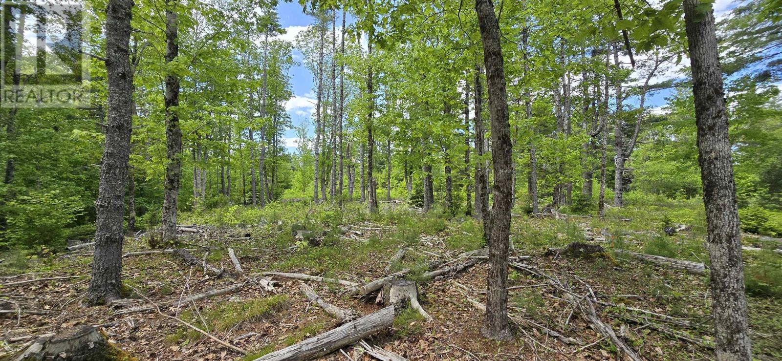 Lot 24-6 East Clifford Road, East Clifford, Nova Scotia  B4V 7R8 - Photo 10 - 202513801