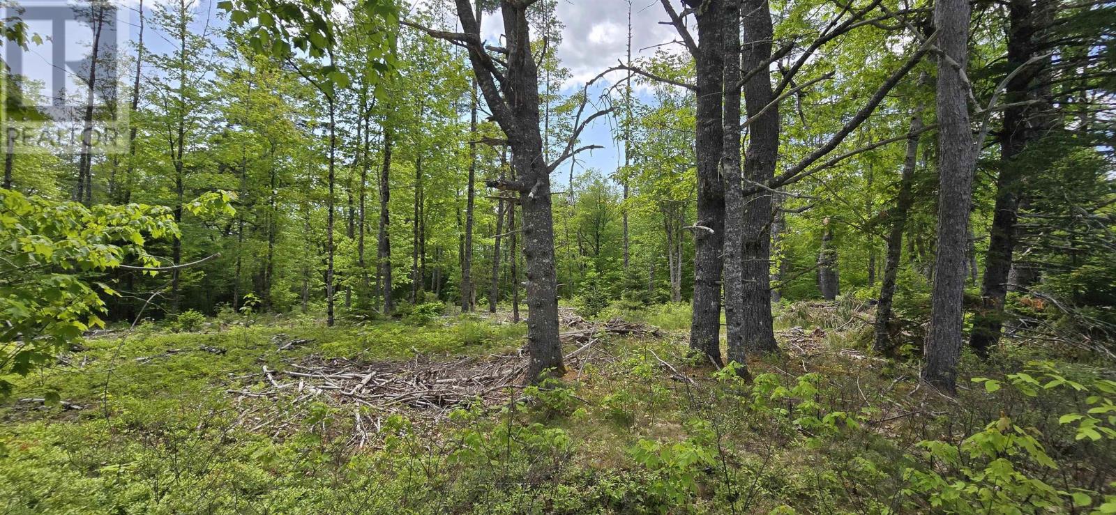 Lot 24-6 East Clifford Road, East Clifford, Nova Scotia  B4V 7R8 - Photo 12 - 202513801