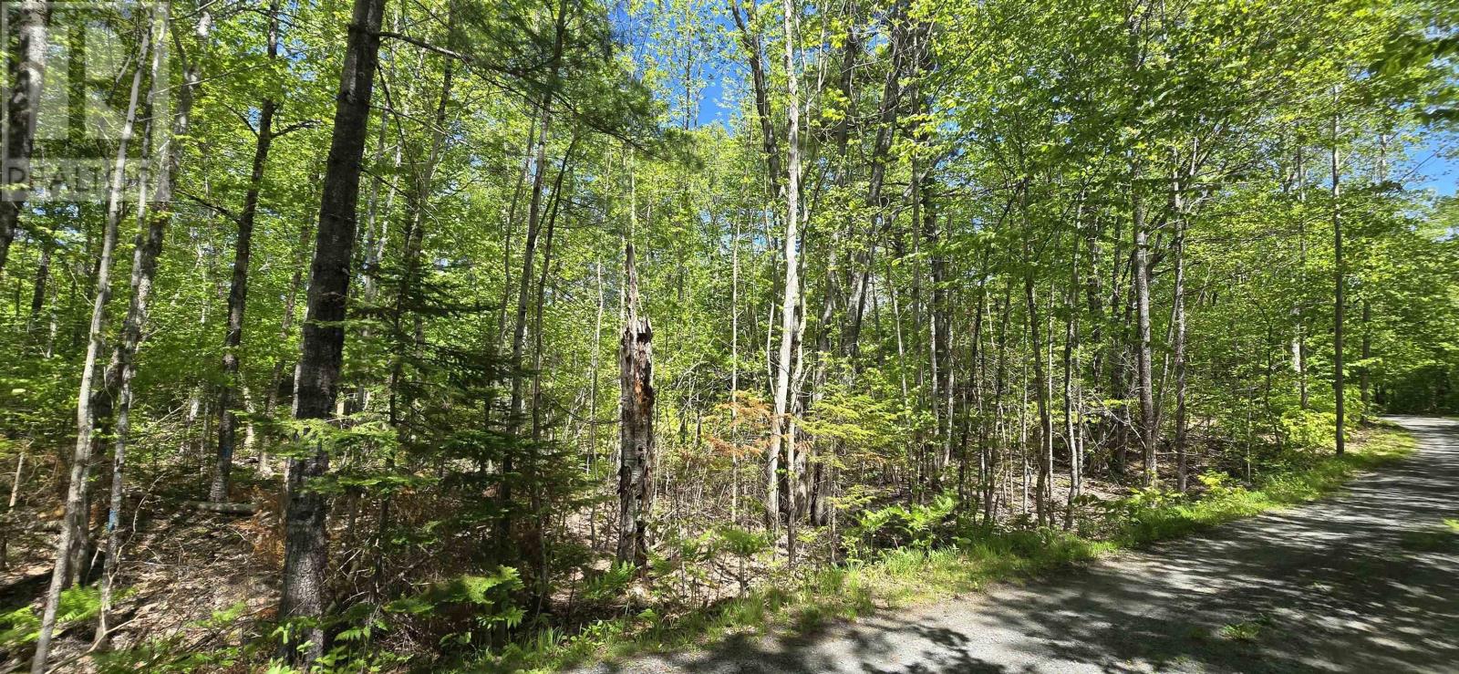 Lot 24-6 East Clifford Road, East Clifford, Nova Scotia  B4V 7R8 - Photo 15 - 202513801