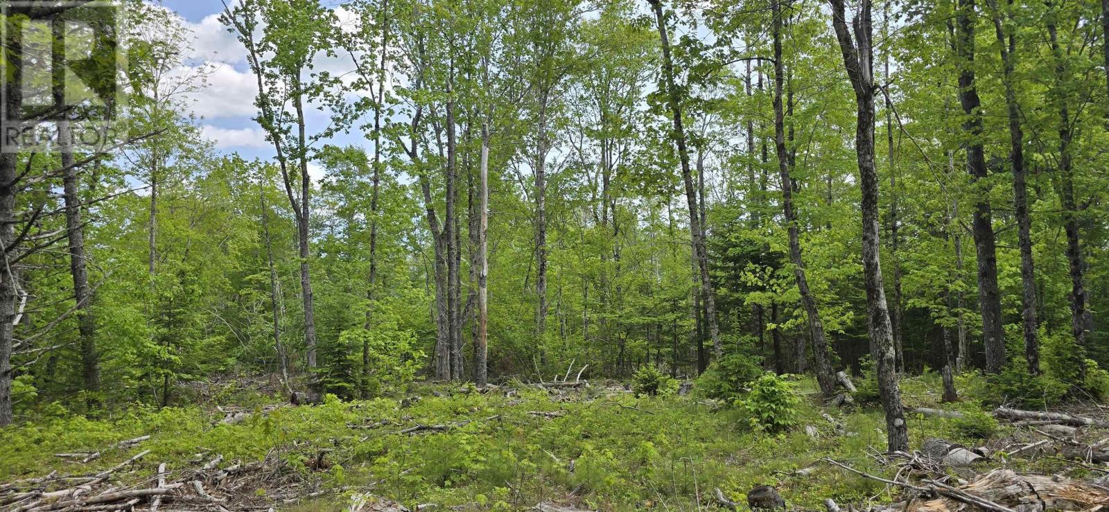 Lot 24-6 East Clifford Road, East Clifford, Nova Scotia  B4V 7R8 - Photo 5 - 202513801