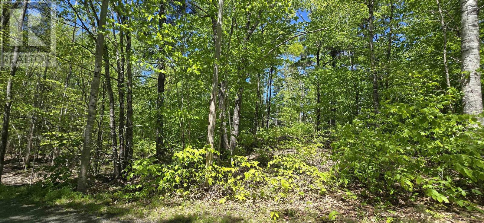 Lot 24-6 East Clifford Road, East Clifford, Nova Scotia  B4V 7R8 - Photo 20 - 202513801