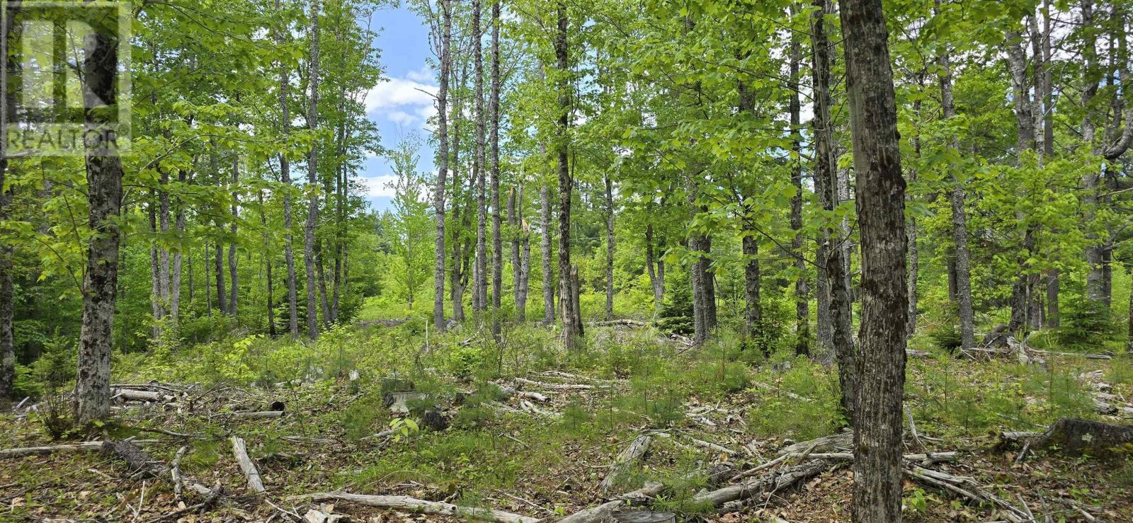 Lot 24-6 East Clifford Road, East Clifford, Nova Scotia  B4V 7R8 - Photo 9 - 202513801