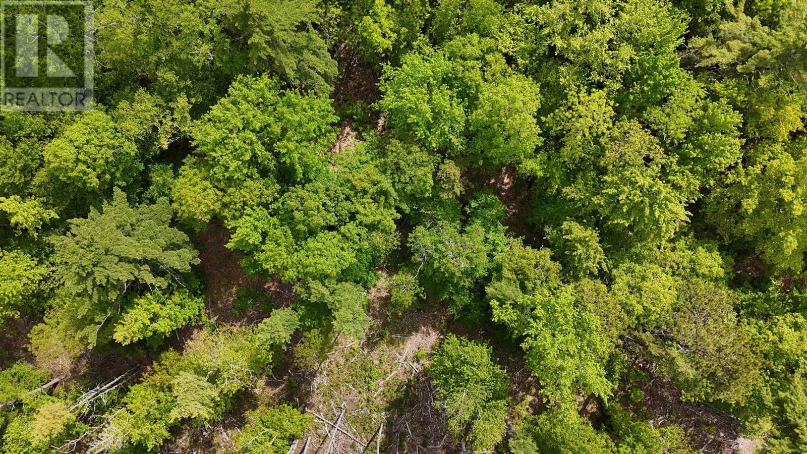 Lot 24-6 East Clifford Road, East Clifford, Nova Scotia  B4V 7R8 - Photo 24 - 202513801