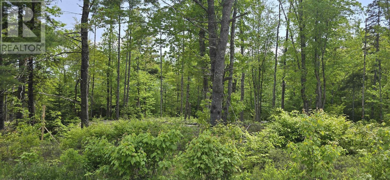 Lot 24-6 East Clifford Road, East Clifford, Nova Scotia  B4V 7R8 - Photo 14 - 202513801