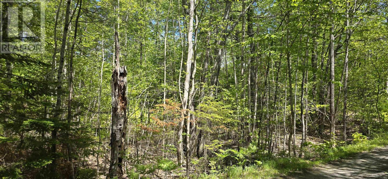 Lot 24-6 East Clifford Road, East Clifford, Nova Scotia  B4V 7R8 - Photo 16 - 202513801